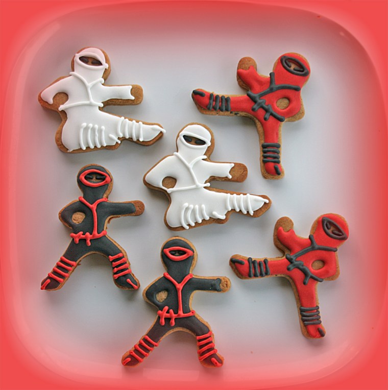 GINGER NINJAS